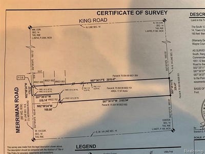 /international/us/vacant-merriman-road-huron-twp-mi-110088122551/