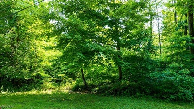 /international/us/12392-fenstermaker-road-garrettsville-oh-110100949861/?lang=zh-tw