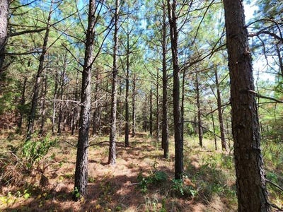 /international/us/2-tbd-poteau-mountain-heavener-ok-110101218819/?lang=zh-tw