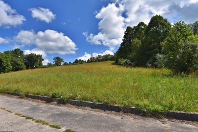 /international/us/birch-street-lot-49-grafton-wv-110107637459/
