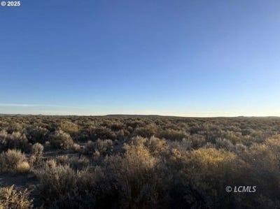 /international/us/fossil-lake-road-christmas-valley-or-110106504994/