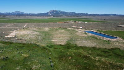 /international/us/440-e-palomino-ct-panguitch-ut-110107536429/