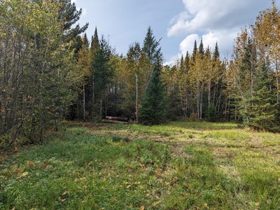 /international/us/deer-river-line-littlefork-mn-110108823360/