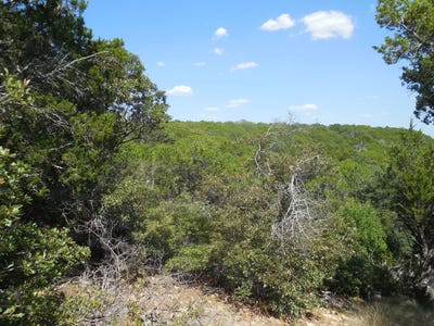 /international/us/east-loop-254-ranger-tx-110119638858/