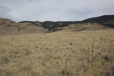 /international/us/lot-71-eagle-nest-nm-110106675026/