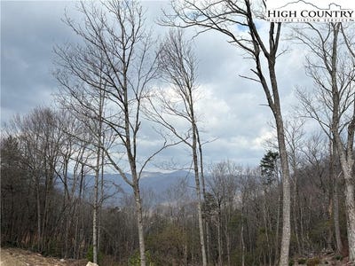 /international/us/angelfire-trail-deep-gap-nc-110106954202/