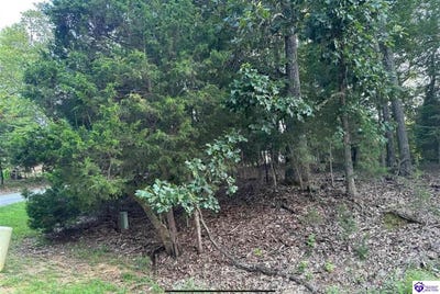 /international/us/539-strawberry-hill-drive-brandenburg-ky-110101506795/