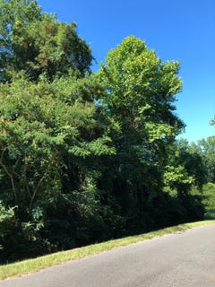 /international/us/0-kolb-city-rd-greenville-al-110092844520/?lang=zh-tw