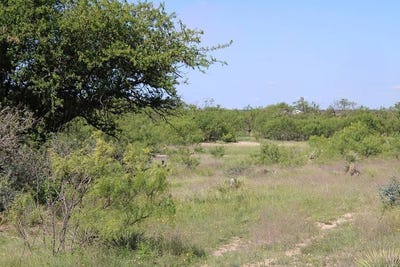 /international/us/414-county-road-414-brady-tx-110099402587/?lang=en