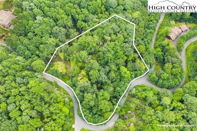 /international/us/lot-201-twin-rivers-drive-boone-nc-110101299420/?lang=zh-tw