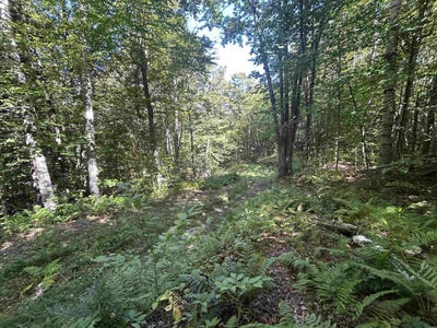 /international/us/west-hill-road-jamaica-vt-110119930502/