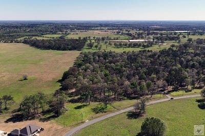 /international/us/446-cr-4001-new-boston-tx-110106540308/