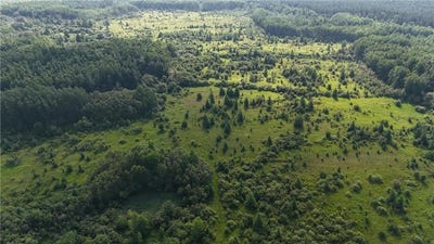 /international/us/tbd-county-road-14-littlefork-mn-110099269277/?lang=zh-tw
