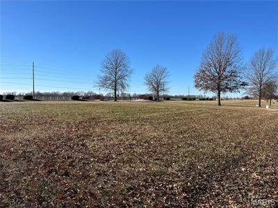 /international/us/408-westridge-drive-troy-mo-110105353431/
