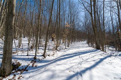 /international/us/nys-route-414-beaver-dams-ny-110106347495/