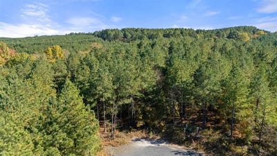 /international/us/14-gopher-wood-trail-broken-bow-ok-110103592812/