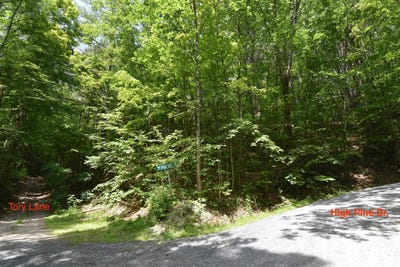 /international/us/0-high-pine-drive-arlington-vt-110101310724/?lang=en