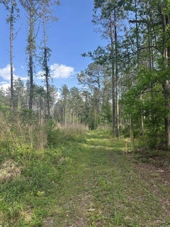 /international/us/hwy-67-malvern-ar-110107415297/