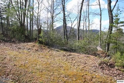 /international/us/4350-carolina-cove-way-pigeon-forge-tn-110100428871/