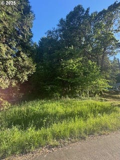 /international/us/red-hill-rd-glendale-or-110102024647/
