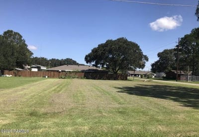 /international/us/amazon-street-lot-10-and-11-eunice-la-110119288697/