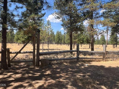 /international/us/52531-lost-ponderosa-road-la-pine-or-110110078761/