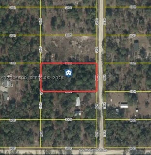 /international/us/142-terrace-williston-fl-110110308364/