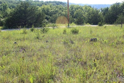 /international/us/niagra-drive-rocky-mount-mo-110101395132/?lang=zh-tw