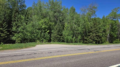 /international/us/tbd-21-nett-lake-rd-orr-mn-110106810779/