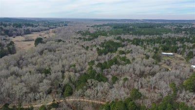 /international/us/tbd-lot-3-county-road-2240-grapeland-tx-110097783057/?lang=en