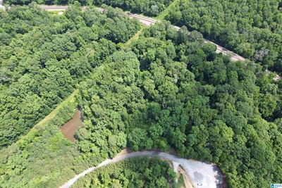 /international/us/weatherton-trail-lot-3-harpersville-al-110098072327/