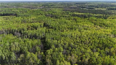 /international/us/tbd-town-road-118-birchdale-mn-110107655520/