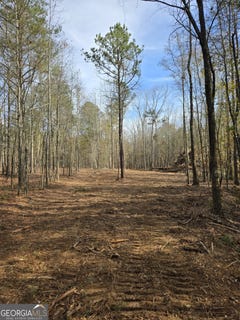 /international/us/00-yatesville-r-yatesville-road-barnesville-ga-110108357677/
