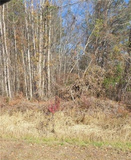 /international/us/county-road-47-tuskegee-al-110104332430/