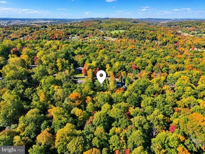 /international/us/440-horseshoe-trail-road-denver-pa-110120610447/