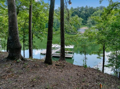 /international/us/6714-county-road-40-lot-12-arley-al-110101003748/