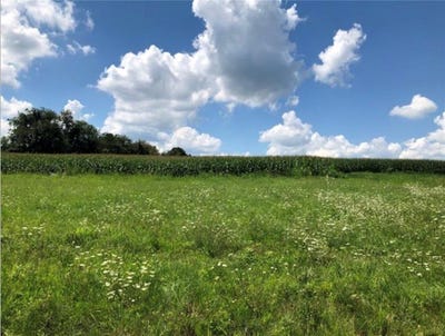 /international/us/268-s-rebecca-street-saxonburg-pa-110101474699/