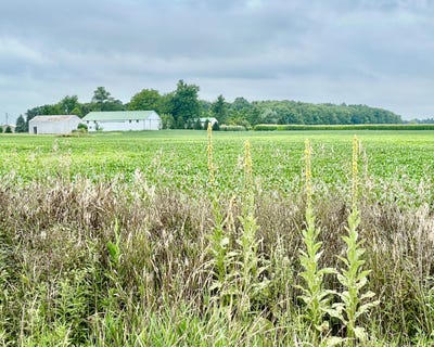 /international/us/10800-south-road-waldron-mi-110101193804/