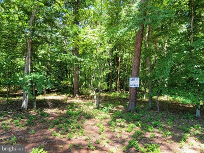 /international/us/burrisville-road-centreville-md-110095466230/