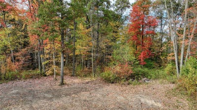 /international/us/w10730-sand-creek-court-merrillan-wi-110110240879/