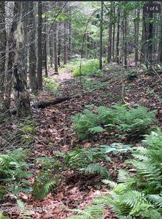 /international/us/l25-cleveland-rd-road-indian-lake-ny-110100749379/