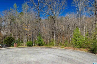 /international/us/1462-acorn-way-lot-23-and-24-mount-olive-al-110108822256/