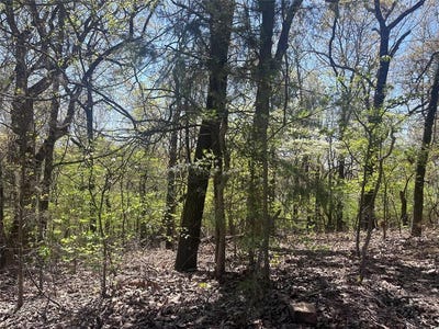 /international/us/1-3-acres-e-1168-road-eufaula-ok-110098694225/?lang=zh-cn