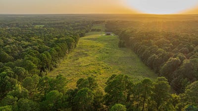 /international/us/1234-firetower-rd-hallsville-tx-110097535847/?lang=zh-cn