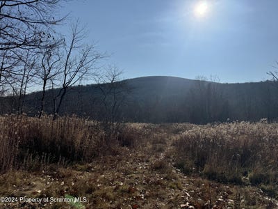 /international/us/summit-lake-road-clarks-summit-pa-110095873063/