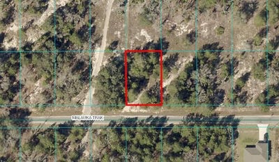 /international/us/tbd-lot-12-malauka-track-ocklawaha-fl-110100187888/?lang=zh-cn