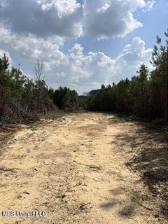 /international/us/honeysucker-road-camden-ms-110103776201/