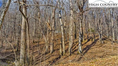 /international/us/tbd-23-locust-circle-west-jefferson-nc-110105221240/