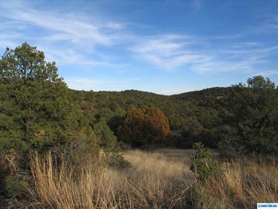 /international/us/camino-de-viento-road-silver-city-nm-110101803691/