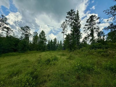 /international/us/county-road-1158-troy-al-110100894300/